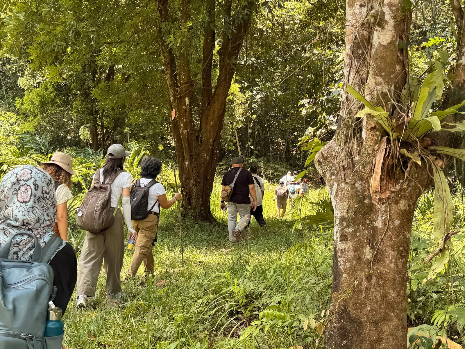 Visitors walking single file along a forest path towards the powerhouse, under tall trees