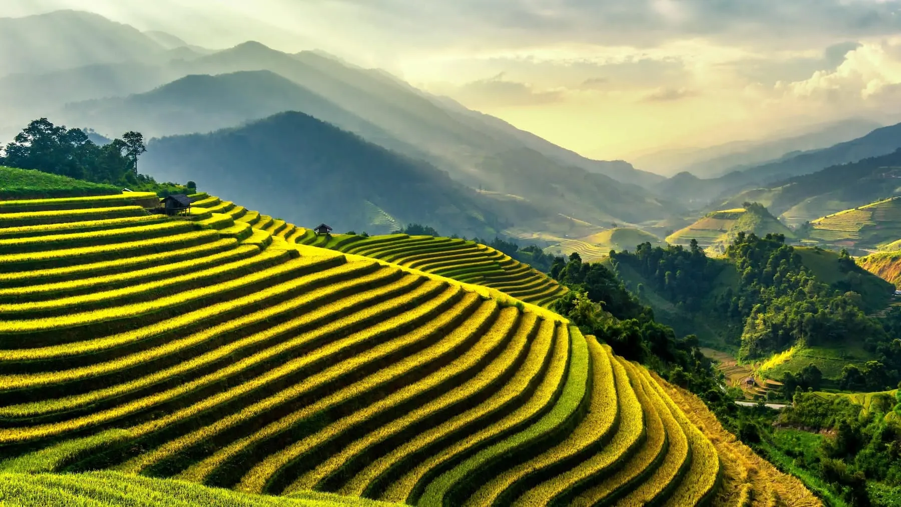 Cover of Webinar on ‘Adaptation Fund projects in South and SoutheastAsia: Insights from CSO perspectives’
