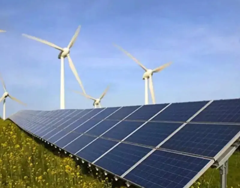 Solar panels in a field of yellow flowers with wind turbines behind