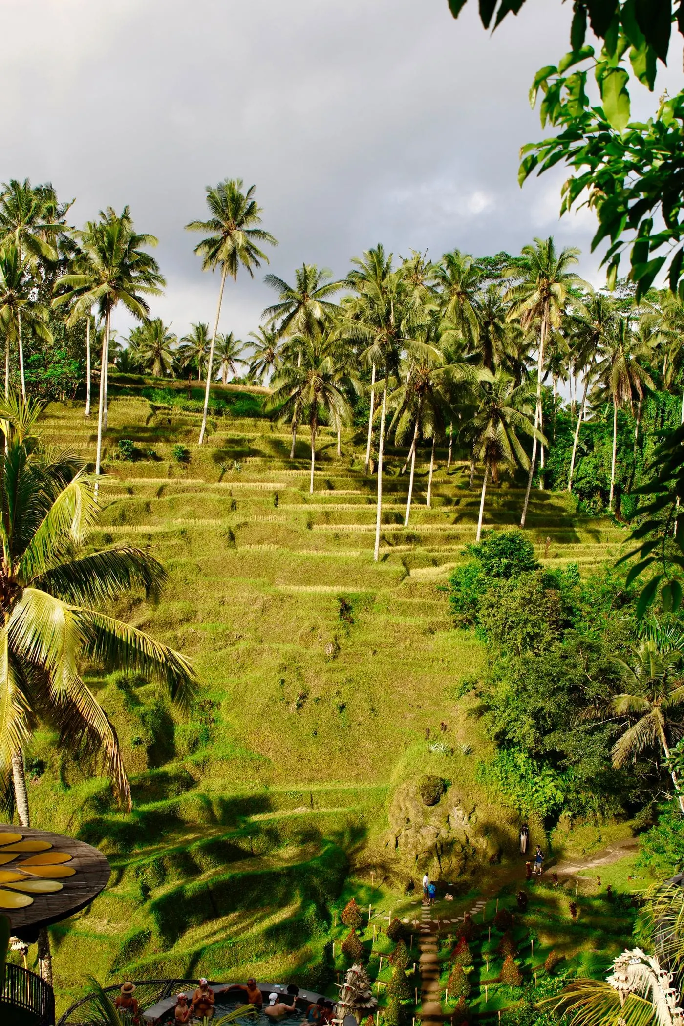 Rice terraces in Bali, Indonesia