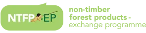 Non-Timber Forest Products Exchange Programme Asia logo